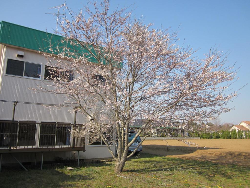 Narita Airport Hostel Shibayama Buitenkant foto